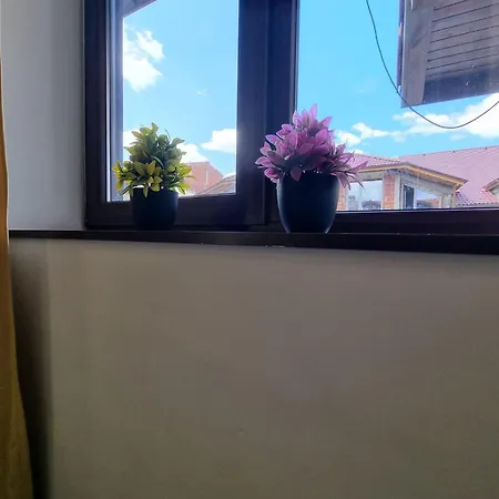 2405 Cosy Mountain View - 200mbps Wi-fi * Bansko
