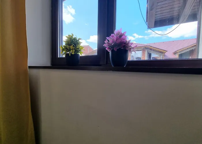 Mountain Paradise 2 - Cosy 2 Bed Mountain View - Washer * 班斯科